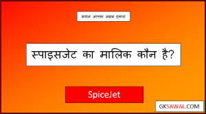 स्पाइसजेट का मालिक कौन है - Spicejet Ka Malik Kaun Hai